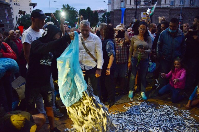 Ден 48: сурова риба пред Министерския съвет и закани за голям протест (хронология)