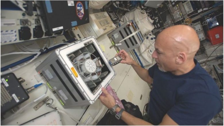 Италианският астронавт Лука Пармитано провежда част от експеримента BioRock на МКЦ
