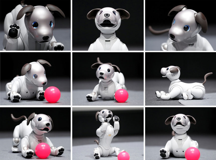 Японската компания Sony представи новото си изобретение - кучето робот Айбо. Цената му е 1738 долара.
