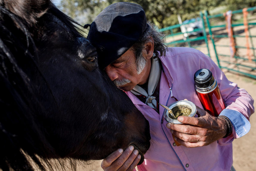 "Хората, които идват на сесиите ми, прекарват времето си с конете и научават чрез движението на животното в какво душевно състояние са", обяснява Ноалес, който получава по 120 евро на сесия.