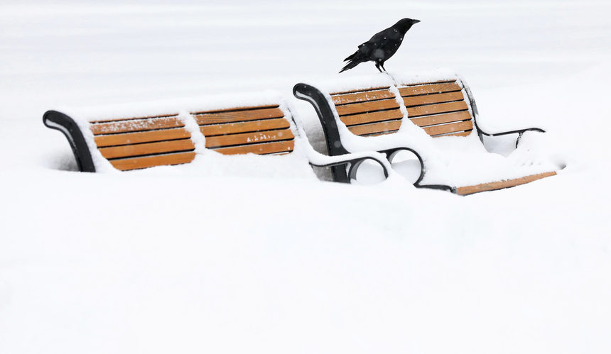 Зимна буря в Отава, Онтарио, Канада.