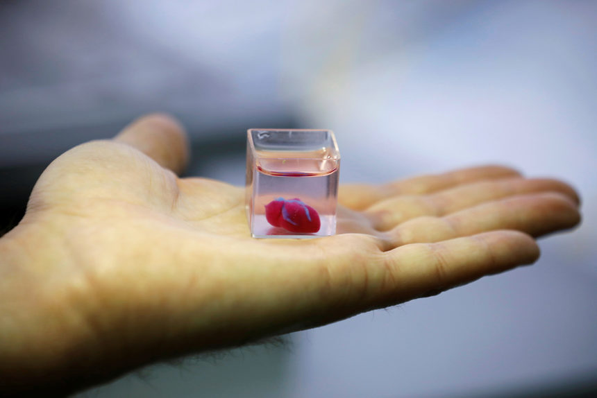 В прозрачен контейнер израелски учени в Тел Авив демонстрираха своето откритие, което те твърдят, че е първото в света 3D принтирано сърце с човешка тъкан, разработено в университета в Тел Авив.