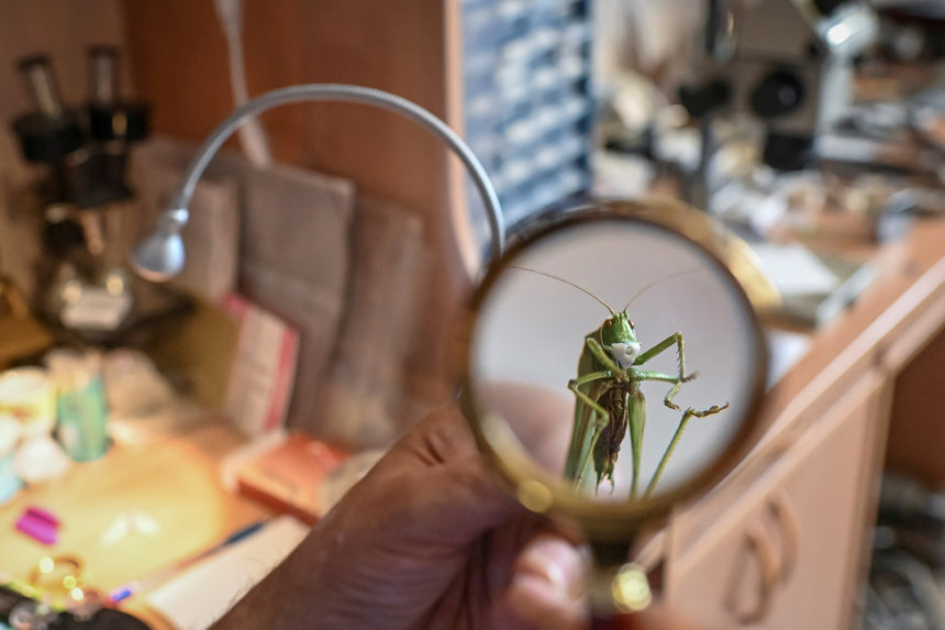 Руският художник Анатолий Коненко, известен със своите миниатюрни произведения на изкуството, създаде малки маски за насекоми, за да ги предпази символично от коронавирус.<br /><br />"В този труден момент е особено важно за разберем, че трябва да спасим не само хората, но и животните и насекомите", казва Коненко пред "Ройтерс".<br />
