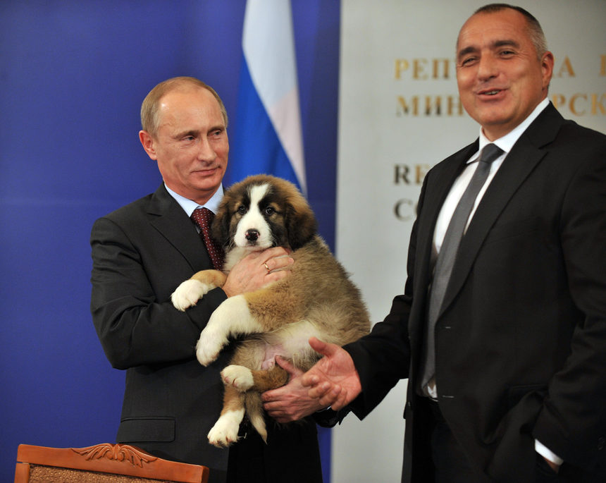 В края на пресконференцията Борисов обяви, че е подарил на Путин кученце от породата българска овчарка. <br />