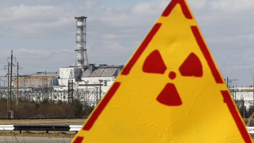 Българска пратка радиоактивни гъби е спряна във Великобритания