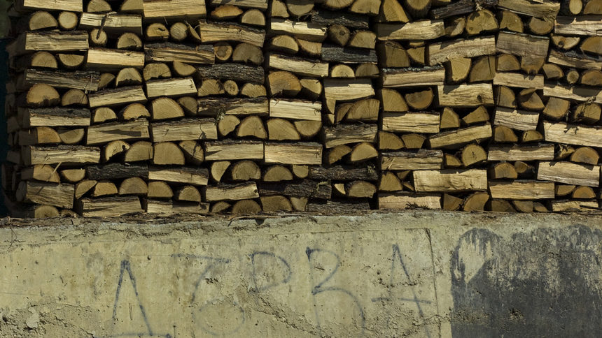 Биомасата или можем ли да спасим планетата чрез горене на дърва