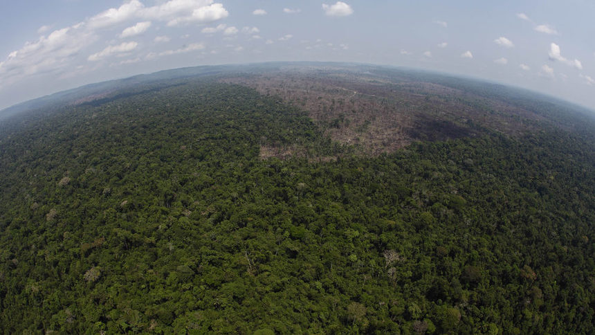 Обезлесена зона близо Ново Прогресо в щата Пара в северна Бразилия. Тропическите гори в района на Амазонка се смятат за най-силната естествена защита срещу климатичните промени заради количествата въглероден диоксид, които поглъщат.