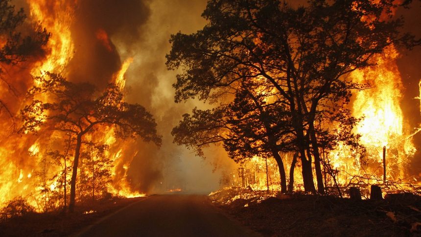 Пламъци обгръщат път близо до щатския парк Бастроп в Тексас на 5 септември 2011 г. Рекордните жеги в щата причиниха пожари, които изпепелиха 4 милиона акра гори.