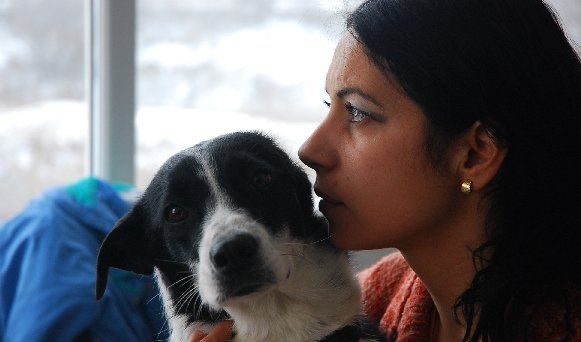 Надя Станчева, Animal Rescue: Арогантно е Найденов да ни вини за бездомните кучета. Ние вършим неговата работа