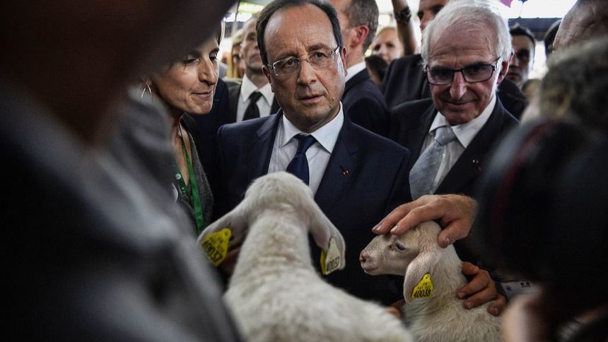Франция ще пренасочи евросубсидии от земеделците към животновъдите
