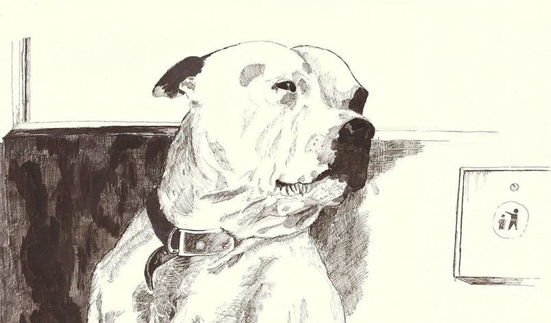 "Кучето Джордж Шордич Лондон", химикал и мастило върху хартия, 72 x 54 см, 2014