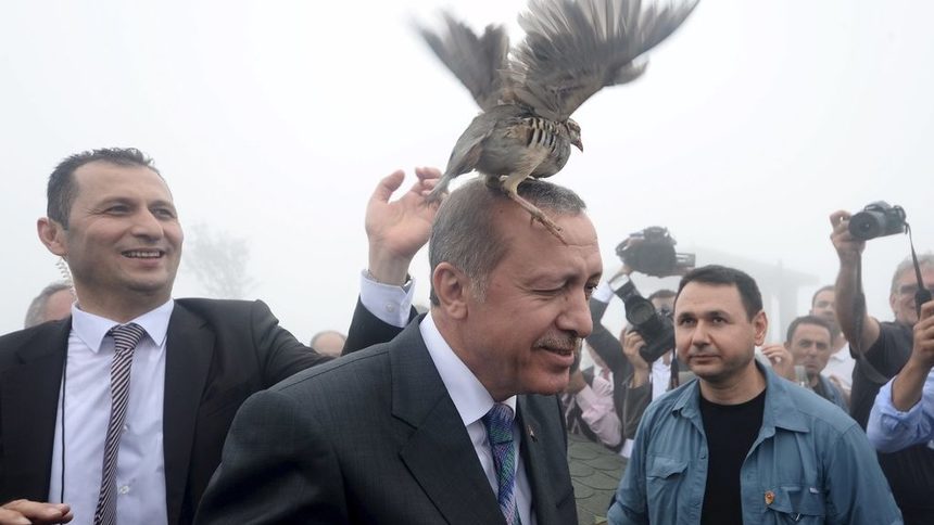 Турски съд ще решава дали сравнение на Ердоган с Ам-гъл е подсъдимо
