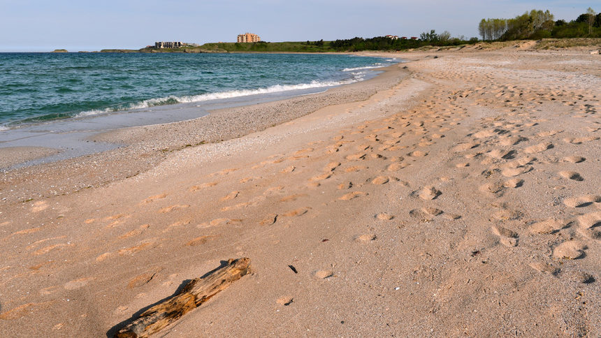 Идеята за диви плажове ще бъде подложена на обществено обсъждане