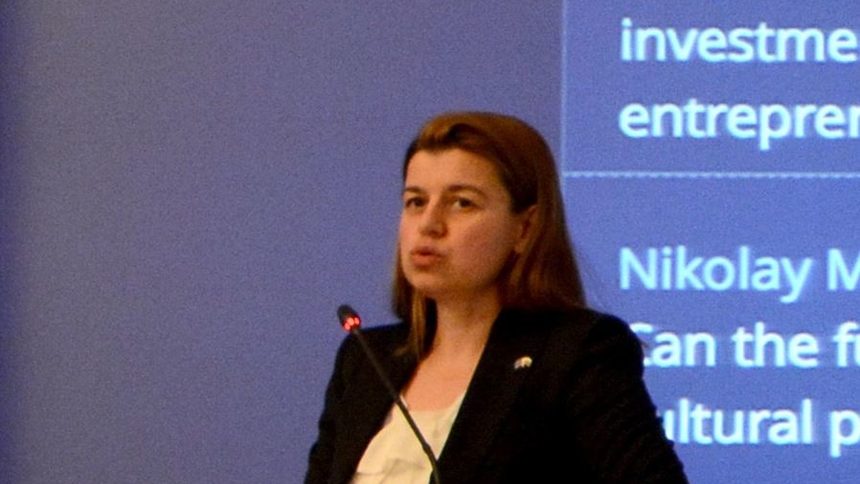 Аглика Събева – Цветанова, експерт в представителството на Европейската комисия в България