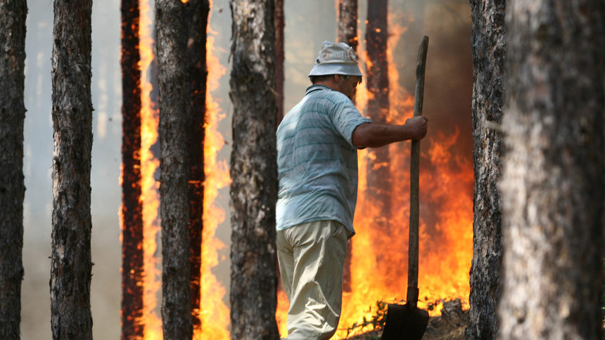Опожарените гори за 2016 г. досега са 25 000 декара