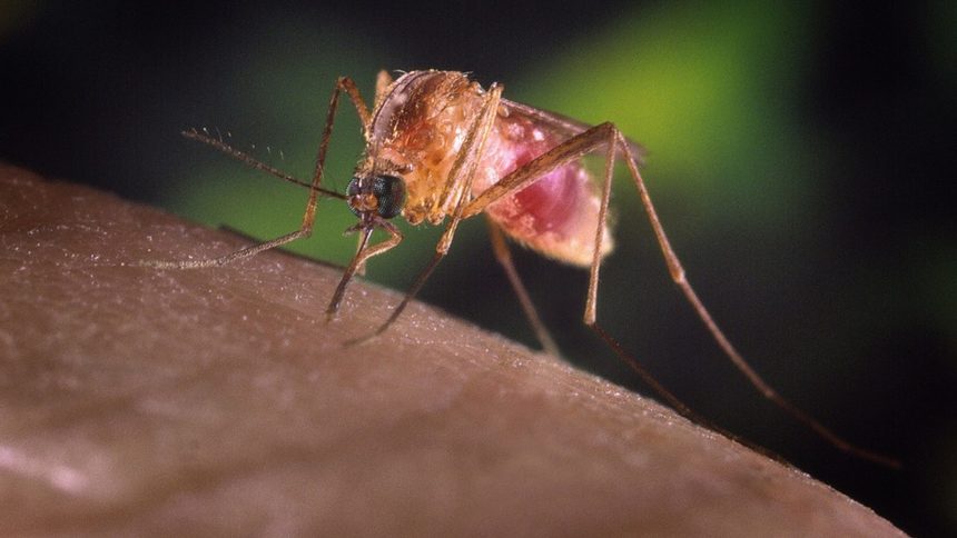 Гърция спря кръводаряването в някои части от страната заради малария