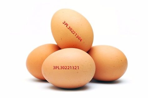 Агенцията по храните изтегля яйца от Полша, заразени със салмонела