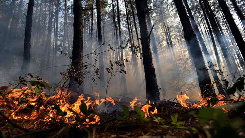 От началото на годината 88 души са загинали в пожари в страната