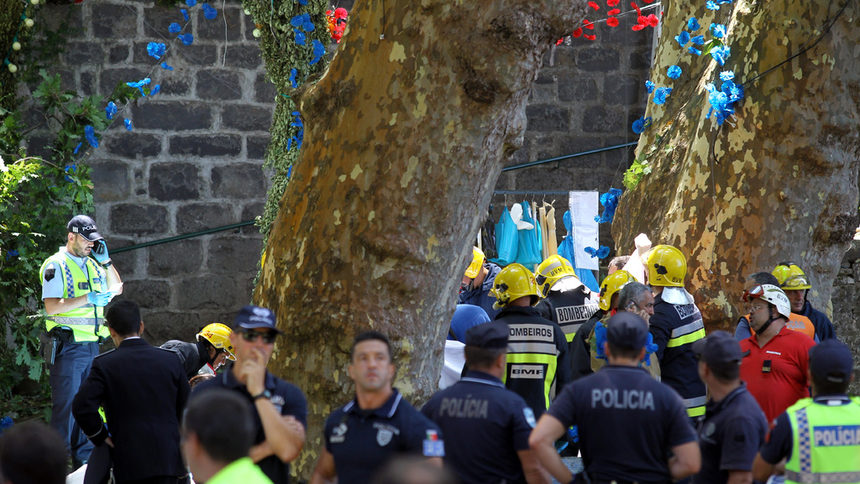 Най-малко 11 загинаха, затиснати от паднало дърво в Португалия
