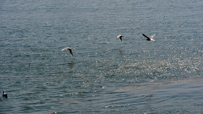 БУРГАС МОРЕ