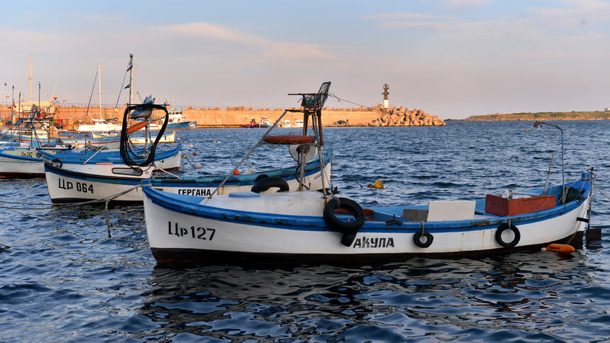 Декларация срещу нелегалния риболов подписаха почти всички страни от Черноморския регион