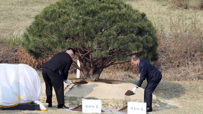 Севернокорейският лидер Ким Чен-Ун и южнокорейският президент Мун Дже-Ин посадиха дърво от южната страна на общата си граница, пред паметна плоча, която откриха за срещата.
