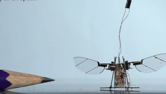 Робот с размерите на муха ще замества дроновете в мисии до труднодостъпни места