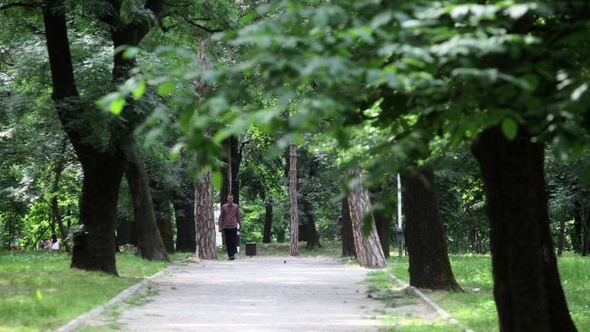Девет дървета ще бъдат премахнати от парка на Военната академия заради метрото