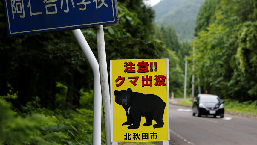 "Пазете се от мечки", или как японската провинция бързо се обезлюдява