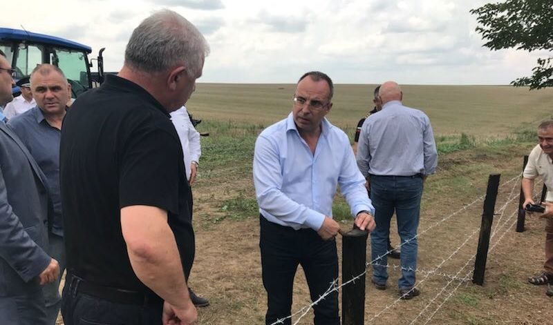 За дивите прасета и оградата
