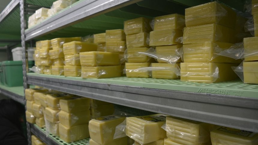 Семейна мини мандра произвежда качествени продукти от планинско мляко