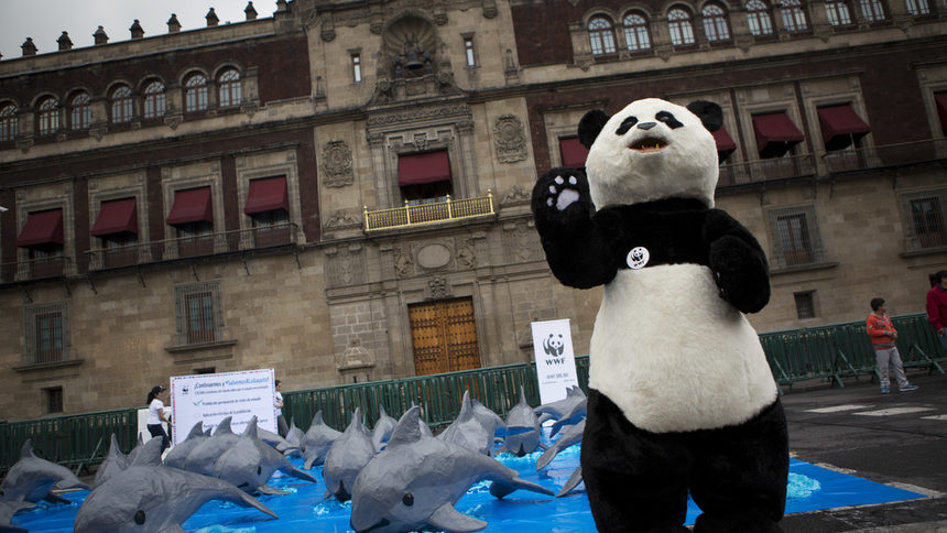Пандата - символ на WWF