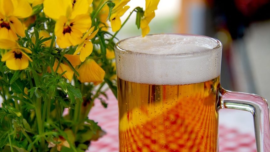 Учени повишиха антиоксидантните качества на бирата с добавяне на виолетка и латинка