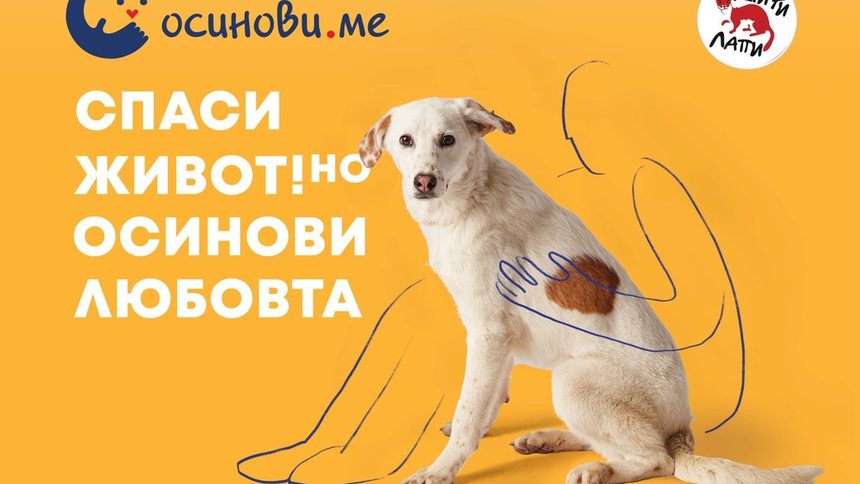 Постера на конкурса.