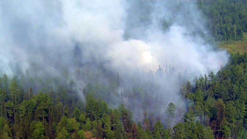 Площта на горските пожари в Русия е започнала да намалява