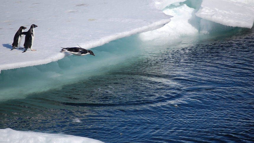 Южният полюс се затопля три пъти по-бързо от останала част на планетата