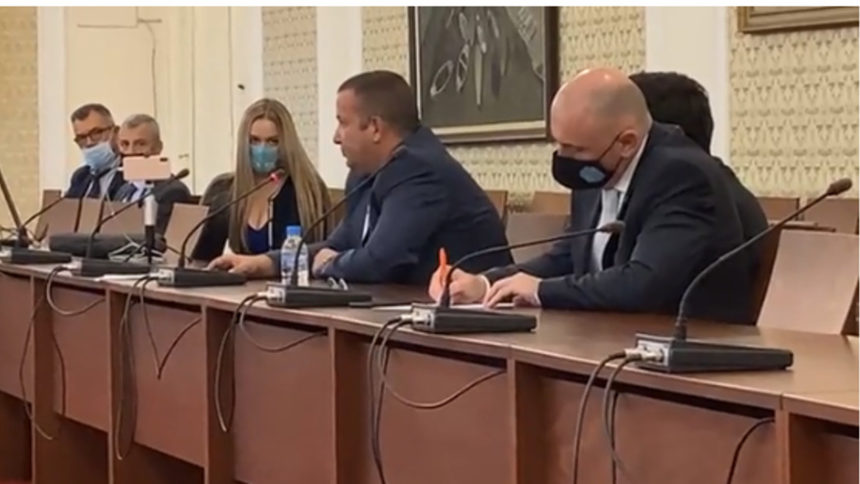 Скрийншот от излъчване на заседанието