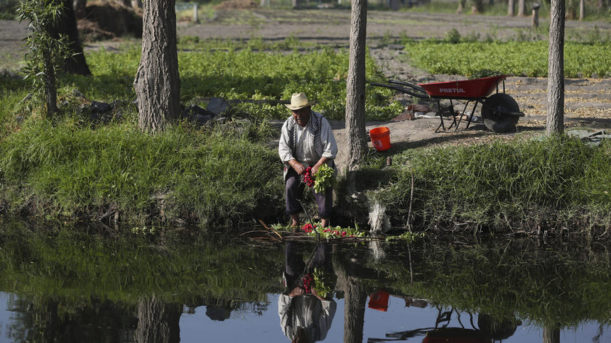 Земеделци се въоръжават срещу наркокартелите в Мексико