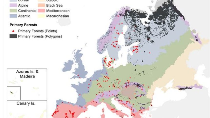 Обновената карта с полигони и точки на старите гори на Европа от<a href="https://www.nature.com/articles/s41597-021-00988-7" target="_blank"> научната статия на международния авторски екип.</a>