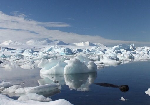 Днес заминава 22-рата антарктическа експедиция